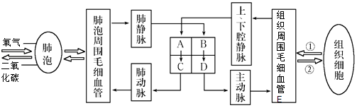 莱斯大学发明新型电化学反应器 可从盐水中提取锂莱斯大学发明新型电化学反应器 可从盐水中提取锂