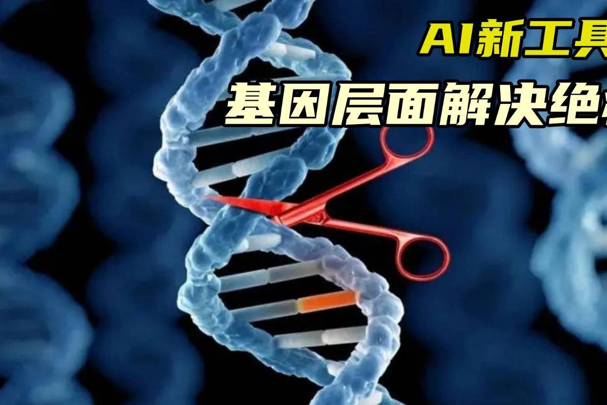 研究人员开发出世界首创人工智能路边技术 以防止动物与车辆相撞研究人员开发出世界首创人工智能路边技术 以防止动物与车辆相撞