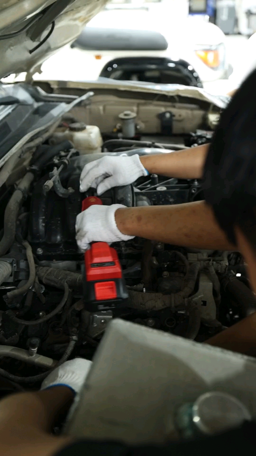 塔库玛加规版限时优惠 店内让利达3.5万元