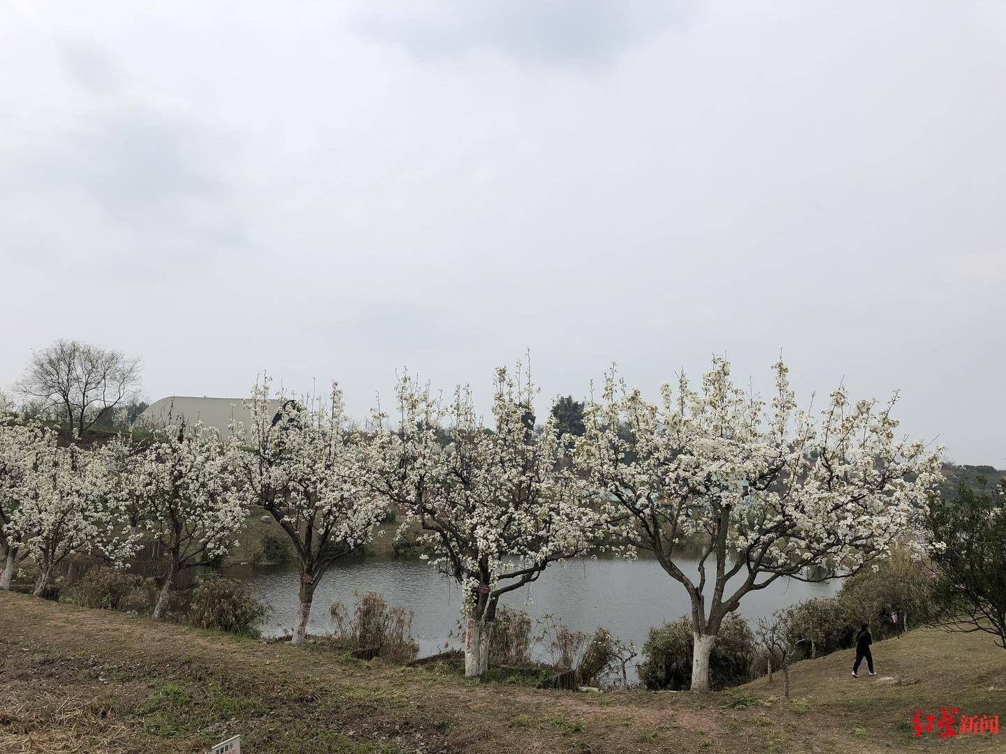 新津星愿最高优惠0.30万 仅6.58万可入手