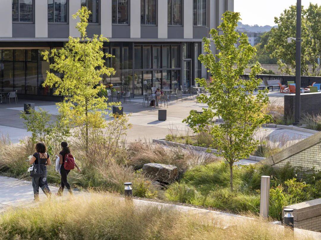 卡内基梅隆大学开发出新型镜头 可同时对焦所有物体卡内基梅隆大学开发出新型镜头 可同时对焦所有物体