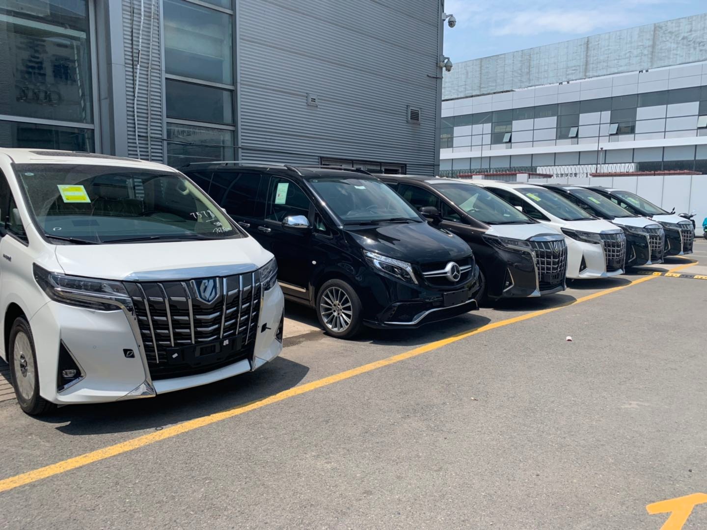 肉感饱满，全新威尔法亮相