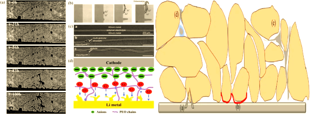 布朗大学发明新策略 有望解决固态电池中的枝晶生长问题布朗大学发明新策略 有望解决固态电池中的枝晶生长问题