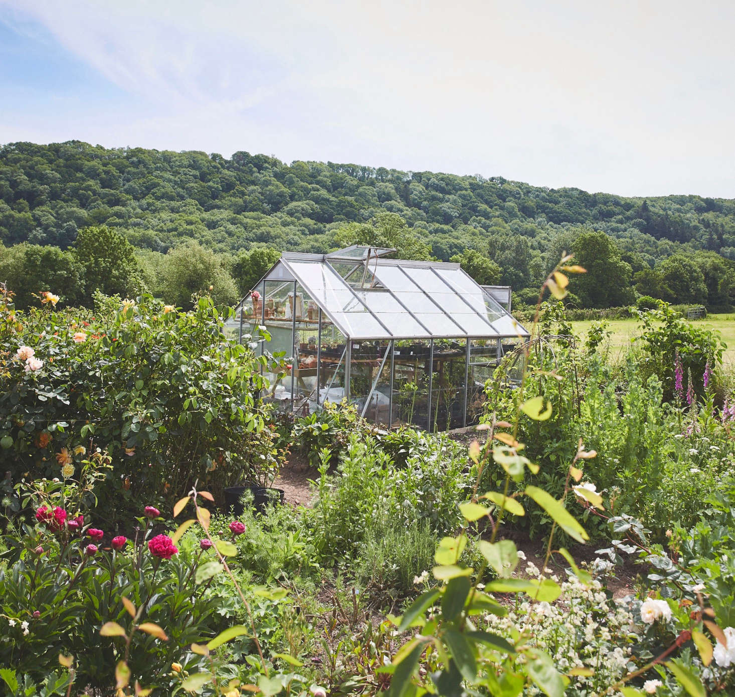 Seeds | 人形机器人公司Apptronik获5.2亿美元融资，谷歌、奔驰参投