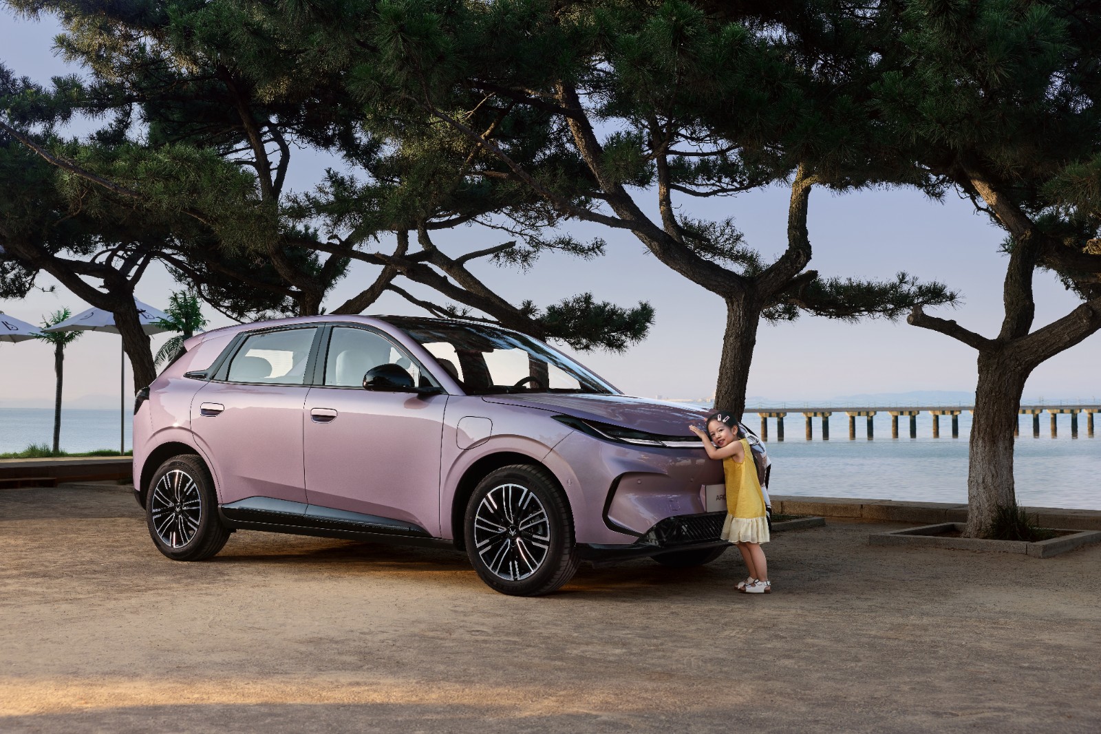 极狐T1领衔微型车 6.88万起技术突破谁能敌